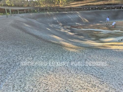 Custom pool project by Backyard Luxury Pool Designs